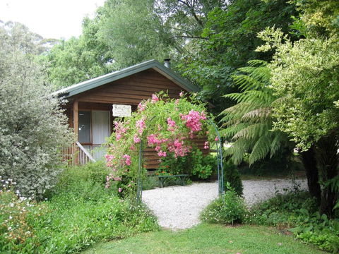 RiverCottage-selfcontained - Grafton Accommodation 0