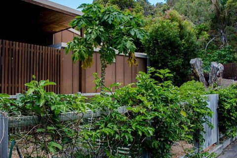 Sand Dweller Holiday Villa Point Lookout - Grafton Accommodation 1