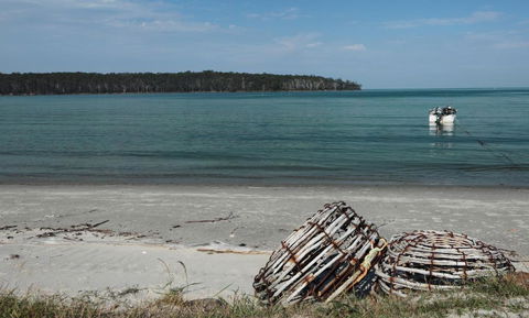 Rock Lobster - Grafton Accommodation 2