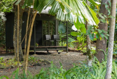 Safari Lodge - Grafton Accommodation 2