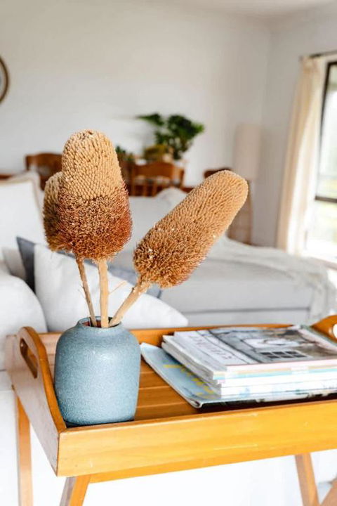 Salt Bush Cottage Peterborough - Grafton Accommodation 1