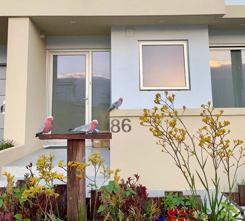 Sorrento Bluewater Apartment - Grafton Accommodation 2