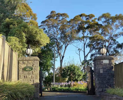 Tanglewood - Grafton Accommodation 1