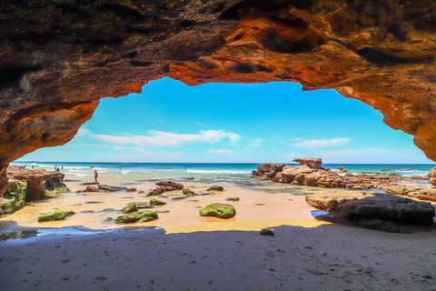 Beachside Oasis - Grafton Accommodation 1