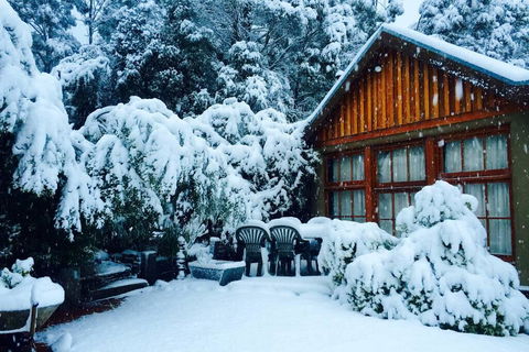 BEAUTIFUL RETREAT - 20 Mins To CBD And Only 10 Mins To MONA! - Grafton Accommodation 0