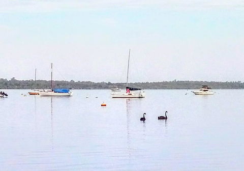 Beautiful, Peaceful Estuary Views, Five Star Quantity - Grafton Accommodation 3