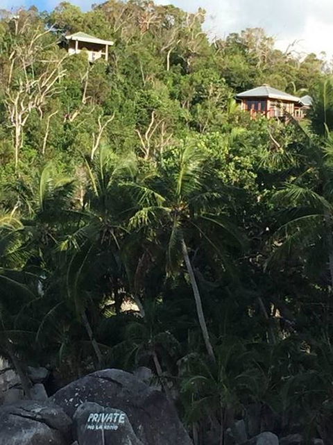 Bedarra Island Treetop Hideaway - Grafton Accommodation 3