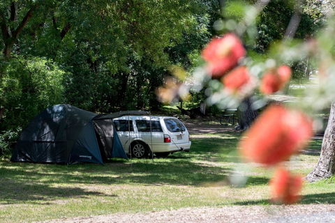 Belair National Park Holiday Park - Grafton Accommodation 0