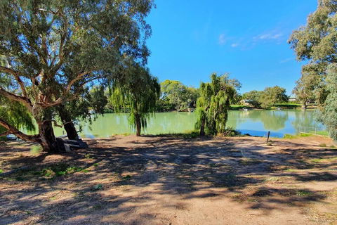 Bellview Holiday House - Grafton Accommodation 0
