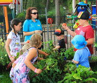 Book Lemon Tree Passage Accommodation Vacations Grafton Accommodation Grafton Accommodation