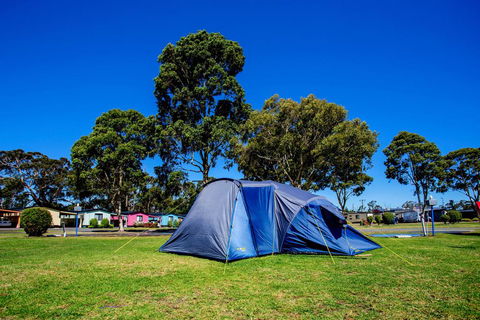 BIG4 Traralgon Park Lane Holiday Park - Grafton Accommodation 2