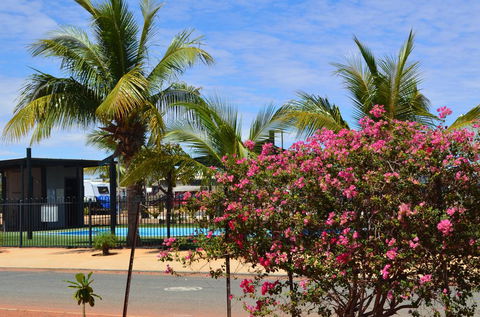 Black Rock Tourist Park - Grafton Accommodation 2