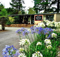 Blackheath Motor Inn - Grafton Accommodation