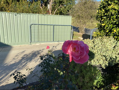 Blue Manor On Fairway - Grafton Accommodation 2