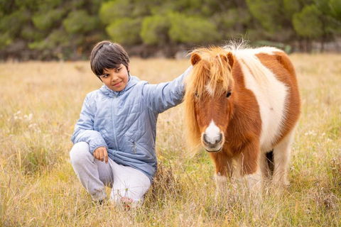 The Little Grove Retreat By Tiny Away - Grafton Accommodation 3