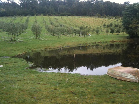 Wanderers Cottage - Grafton Accommodation 3