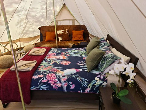 Ooraminna Homestead - Grafton Accommodation 2