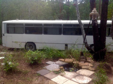 Yamba Hinterland Bush Retreat - Vintage Bus Stay - Grafton Accommodation 3