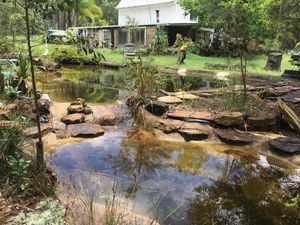 Yamba Hinterland bush retreat - Vintage bus stay