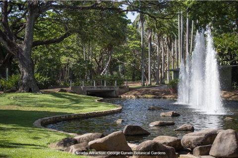 ZEN TREETOPS - Boutique 2-BR Apt W/ Private Pool - Grafton Accommodation 3