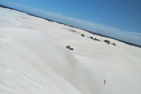 Yanchep & Lancelin - Wildlife, Cave And Sands - Grafton Accommodation 3