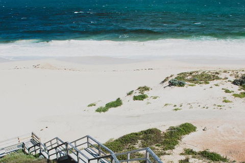 Yanchep & Lancelin - Wildlife, Cave And Sands - Grafton Accommodation 5
