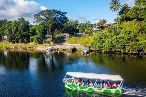 Afternoon Half-Day Daintree Rainforest And River Tour - Grafton Accommodation 1