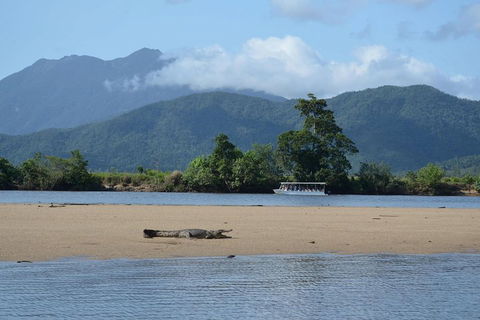 Afternoon Half-Day Daintree Rainforest And River Tour - Grafton Accommodation 2
