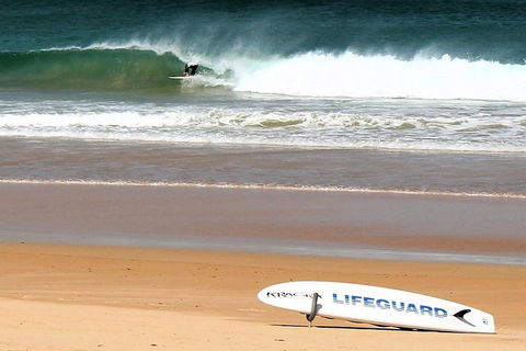 Half Day Manly Beach And More - Grafton Accommodation 5