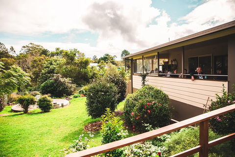 Full-day Springbrook National Park Tour From The Gold Coast - Grafton Accommodation 2