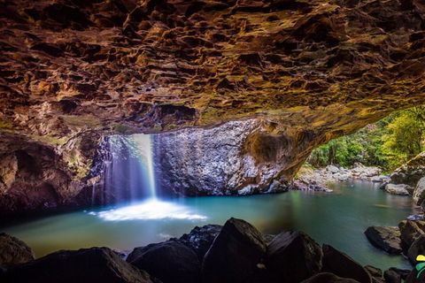 Full-day Springbrook National Park Tour From The Gold Coast - Grafton Accommodation 3