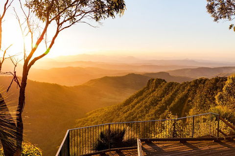 O'Reilly's & Lamington National Park Incl. Alpaca Farm + Vineyard - Grafton Accommodation 0