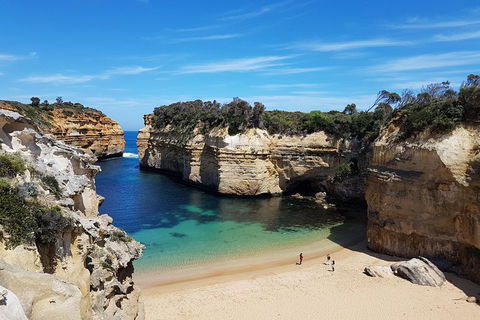 Helicopter Flight + Fine Dining Private Luxury Great Ocean Road Tour - Grafton Accommodation 1