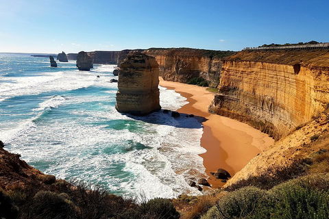 Helicopter Flight + Fine Dining Private Luxury Great Ocean Road Tour - Grafton Accommodation 4