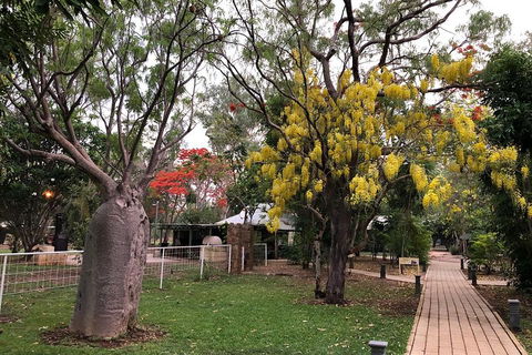 Gorgeous Gorges Tour - Windjana & Bell Gorge, Mt Hart, Cape Leveque - Grafton Accommodation 3