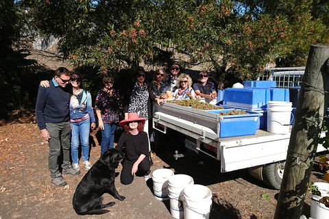 Valleys Of Vino Tour - Grafton Accommodation 1