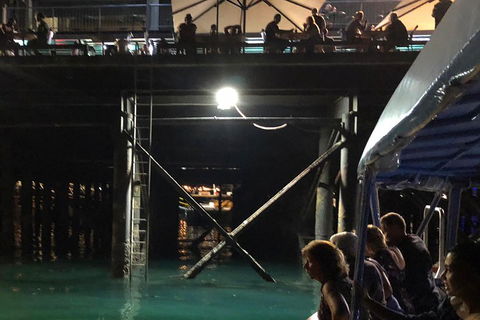 Darwin Sunset Cruise Including Fish 'n' Chips - Grafton Accommodation 0