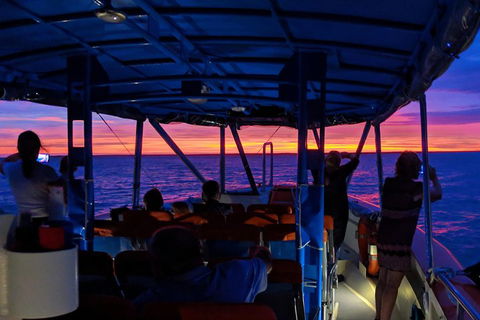 Darwin Sunset Cruise Including Fish 'n' Chips - Grafton Accommodation 1