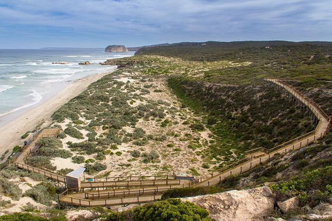 Kangaroo Island Personal Group Tours - Grafton Accommodation 1