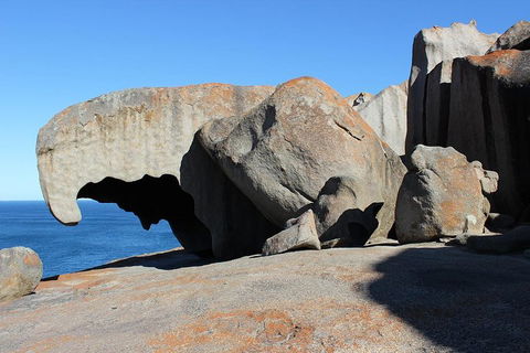 Kangaroo Island Personal Group Tours - Grafton Accommodation 2