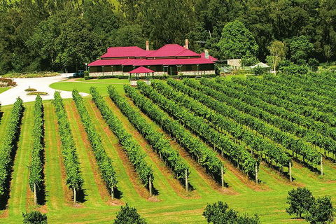 O'Reilly's & Lamington National Park From Brisbane - Grafton Accommodation 2