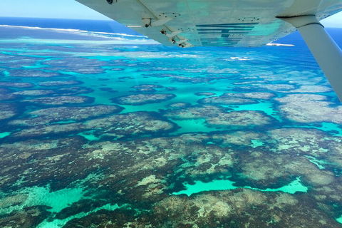 Kalbarri, Pink Lake And Abrolhos Islands Nature Tour - Grafton Accommodation 5