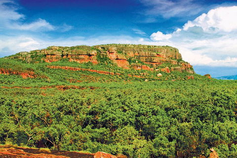Kakadu, Nourlangie And Yellow Waters Tour From Darwin - Grafton Accommodation 3
