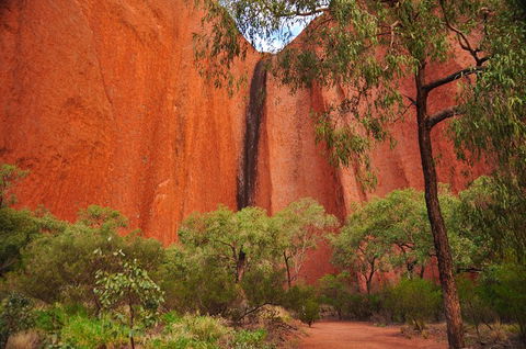 Uluru Sunrise And Guided Base Walk - Grafton Accommodation 3