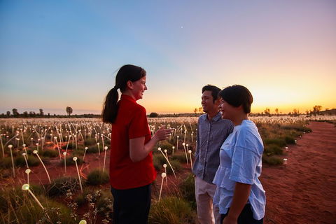 Uluru (Ayers Rock) Field Of Light Sunrise Tour - Grafton Accommodation 5