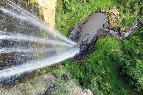 Natural Bridge & Springbrook Waterfalls Tour + Hot Air Balloon With Breakfast - Grafton Accommodation 1