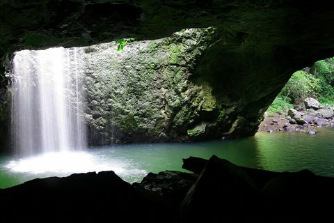 Natural Bridge & Springbrook Waterfalls Tour + Hot Air Balloon With Breakfast - Grafton Accommodation 2