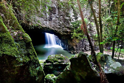 Natural Bridge & Springbrook Waterfalls Tour + Hot Air Balloon With Breakfast - Grafton Accommodation 4