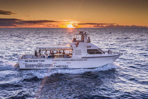 Kalbarri Sunset Coastal Cliff Cruise - Grafton Accommodation 2