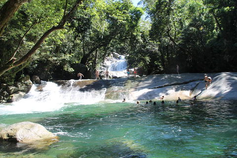 Double Pack-Ancient Rainforest And Waterfalls! - Grafton Accommodation 2